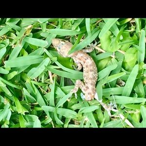 Meet your Posher, Noah